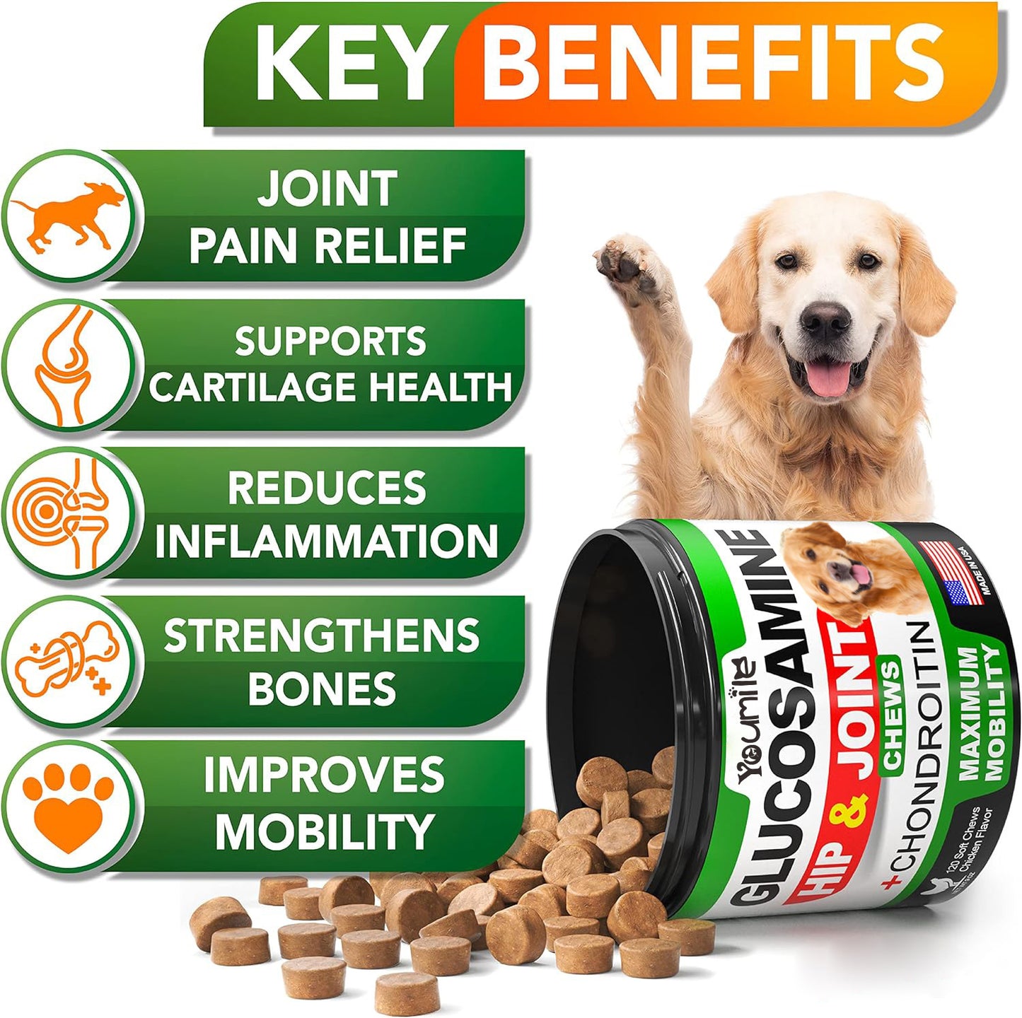 Pet Supplement Chondroitin