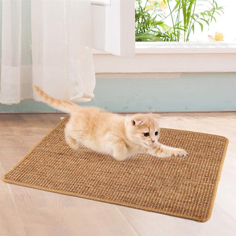Anti-scratch pet