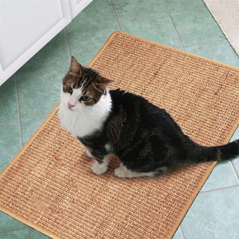 Anti-scratch pet