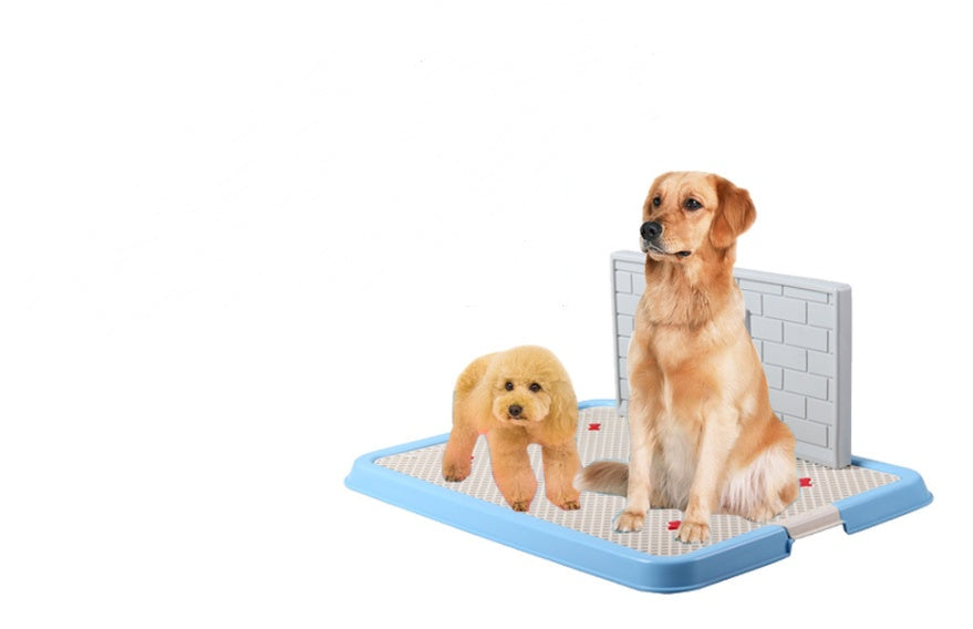 Dog Toilet Puppy