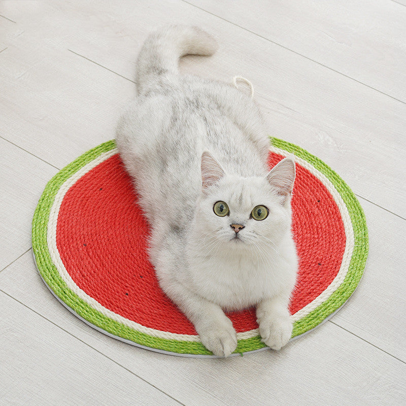 Cat Supplie