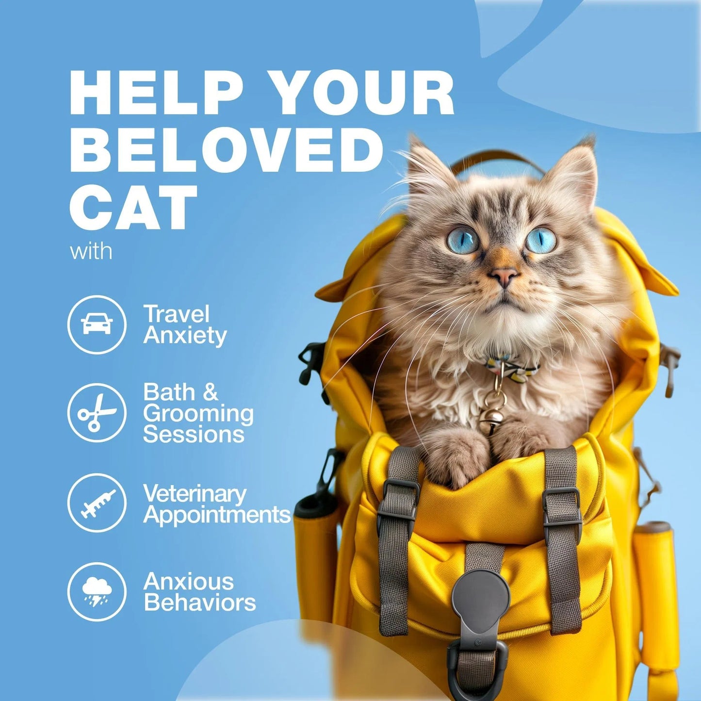 Cat Calming Treats