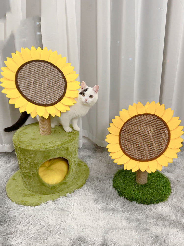 Cat Vertica