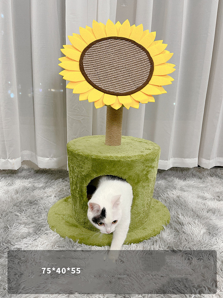 Cat Vertica