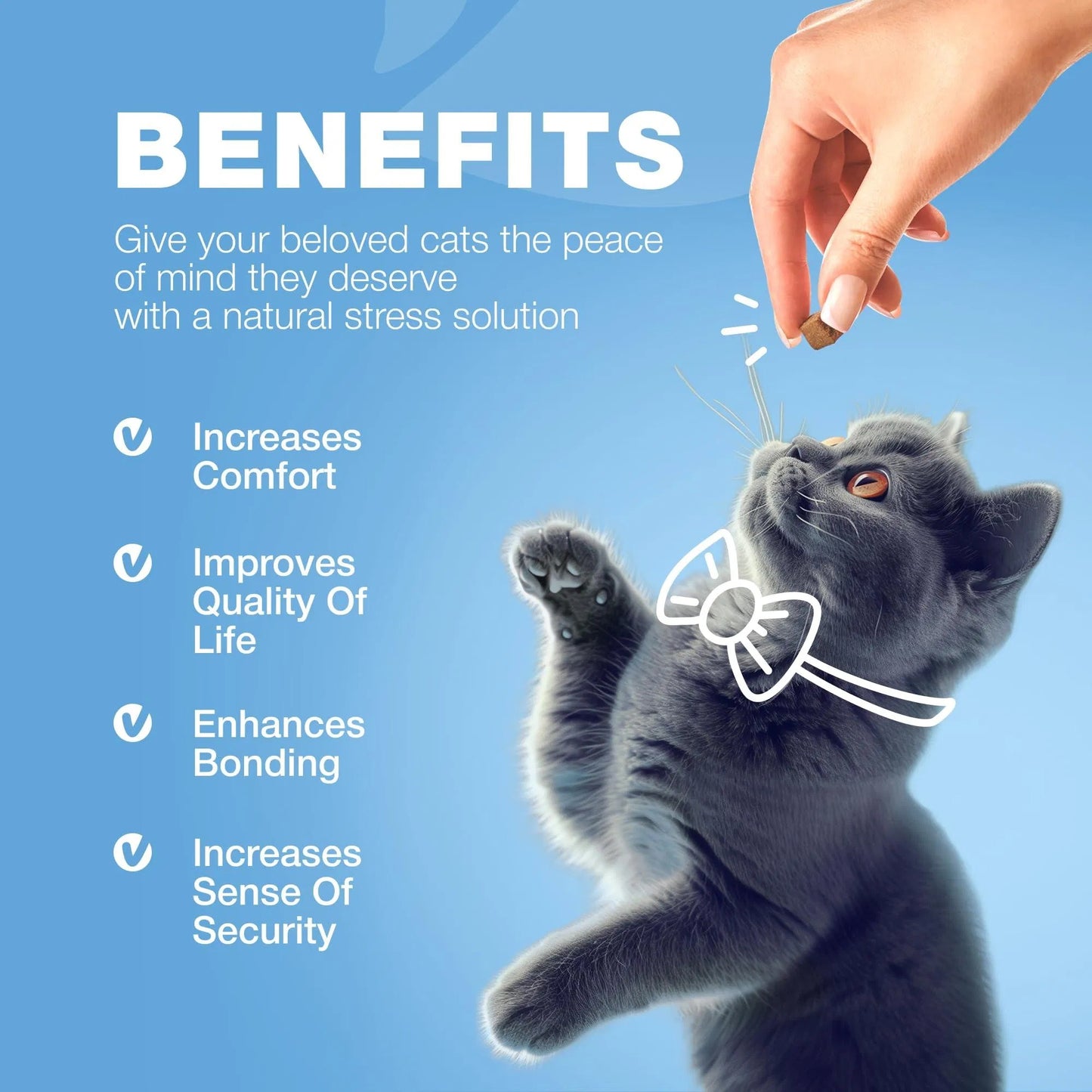 Cat Calming Treats