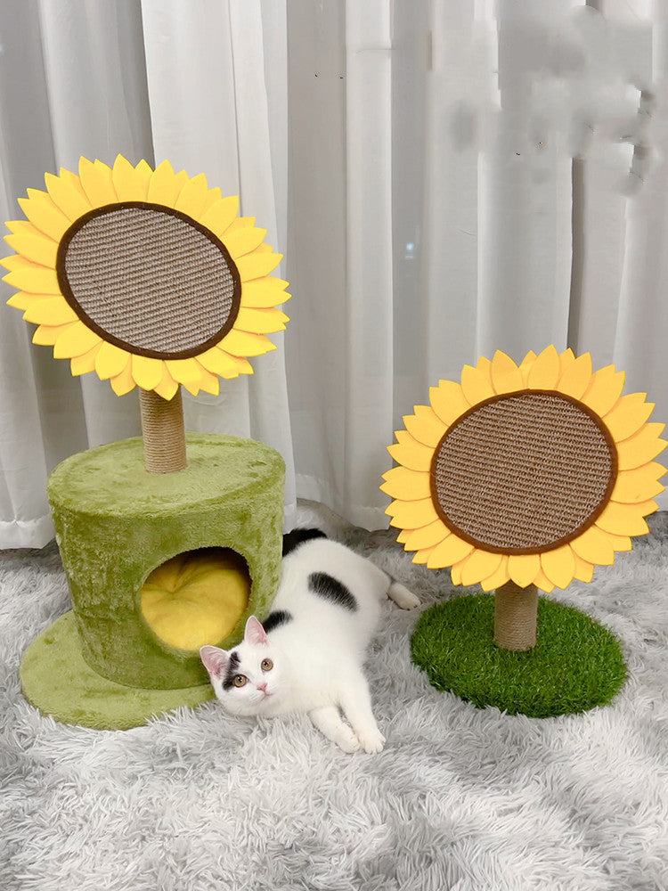 Cat Vertica