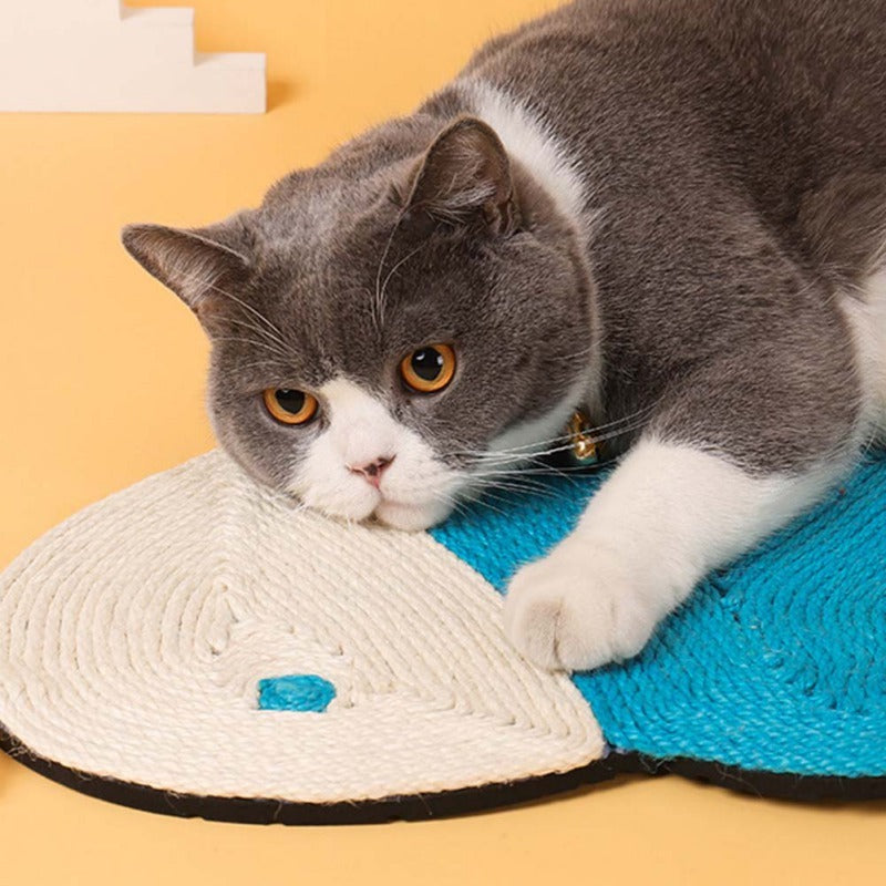 Cat Scratching