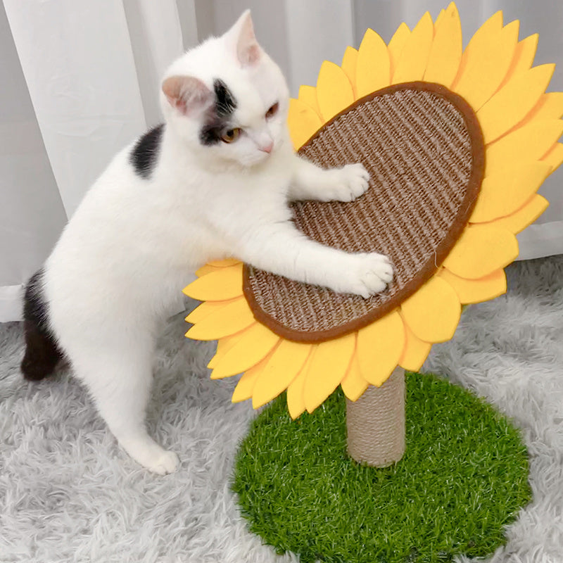 Cat Vertica
