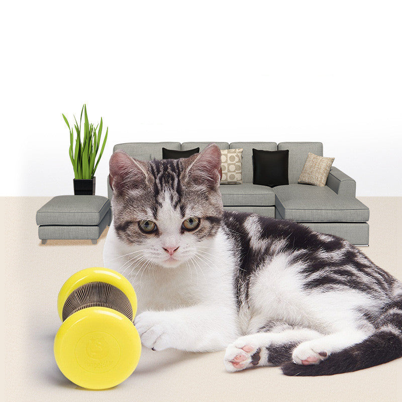 Pet Toy Magic Organ
