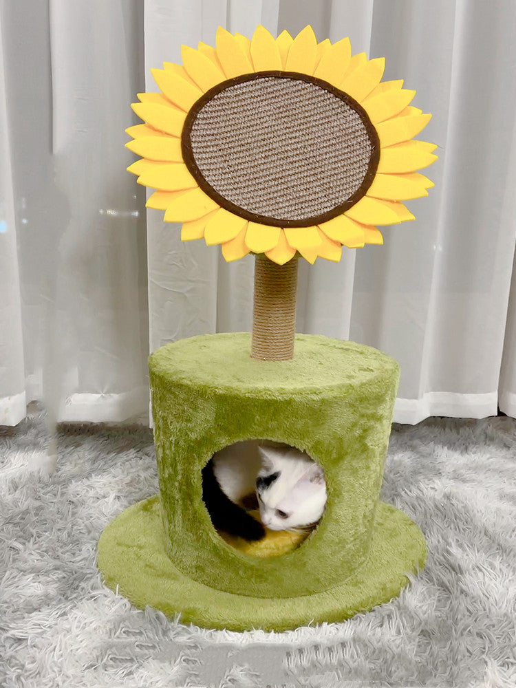 Cat Vertica