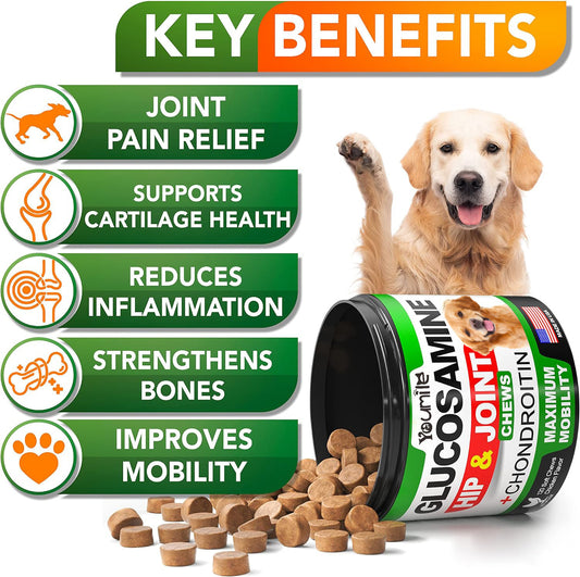 Pet Supplement Chondroitin