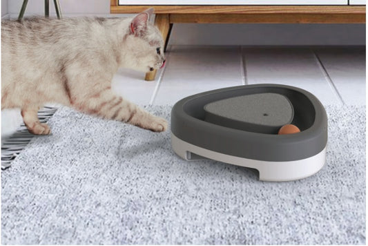 Pet Cat Self-hey