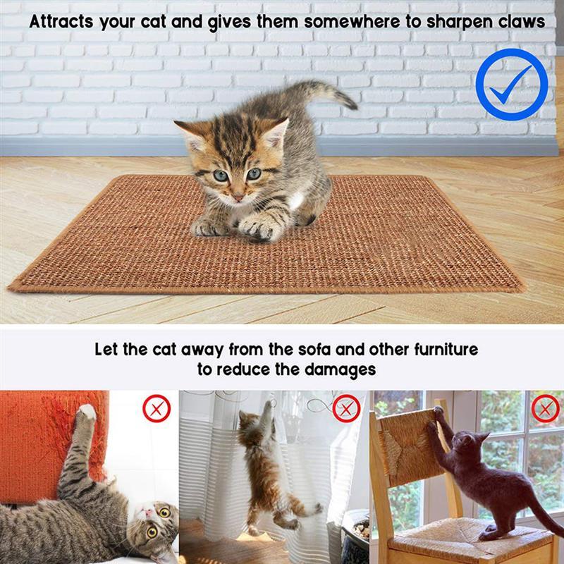 Anti-scratch pet