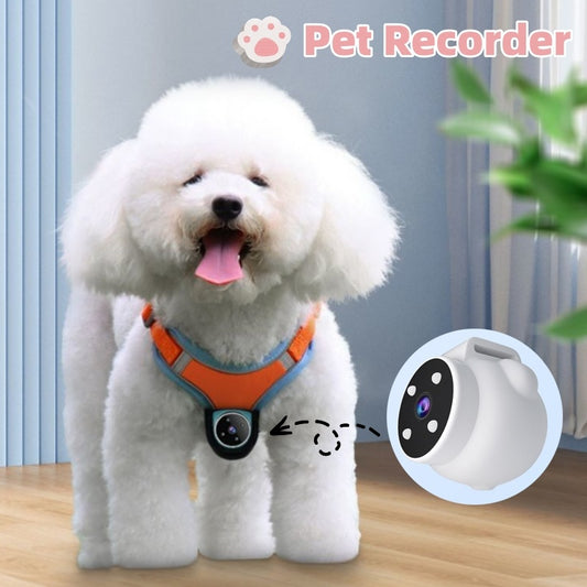 Pets Recorder
