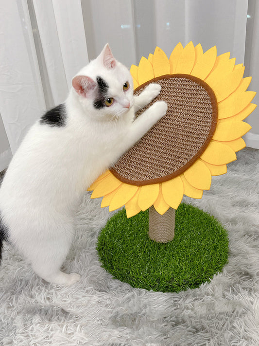 Cat Vertica